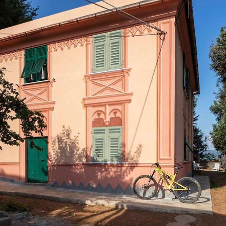 La Brigna B&B Il Bosco Sul Mare Janov Exteriér fotografie