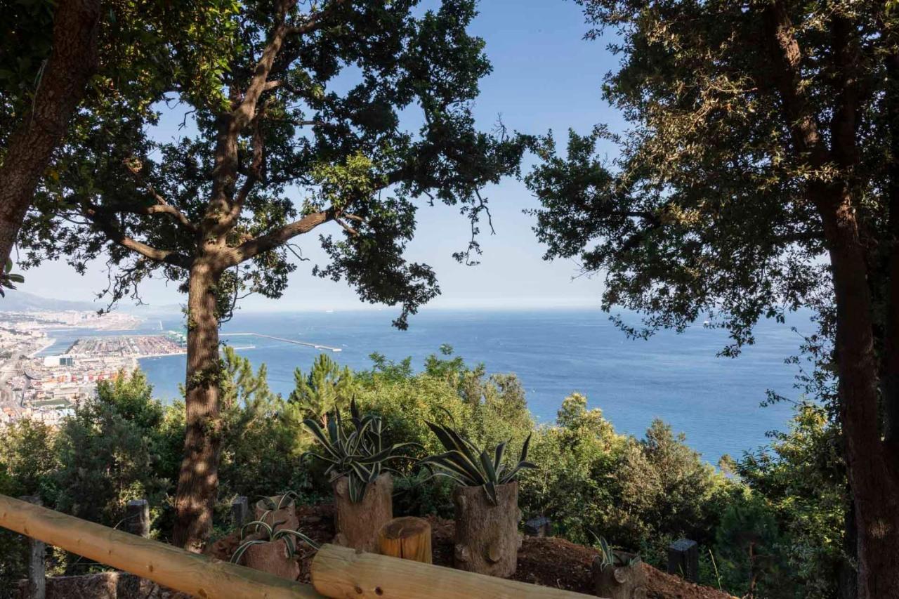 La Brigna B&B Il Bosco Sul Mare Janov Exteriér fotografie