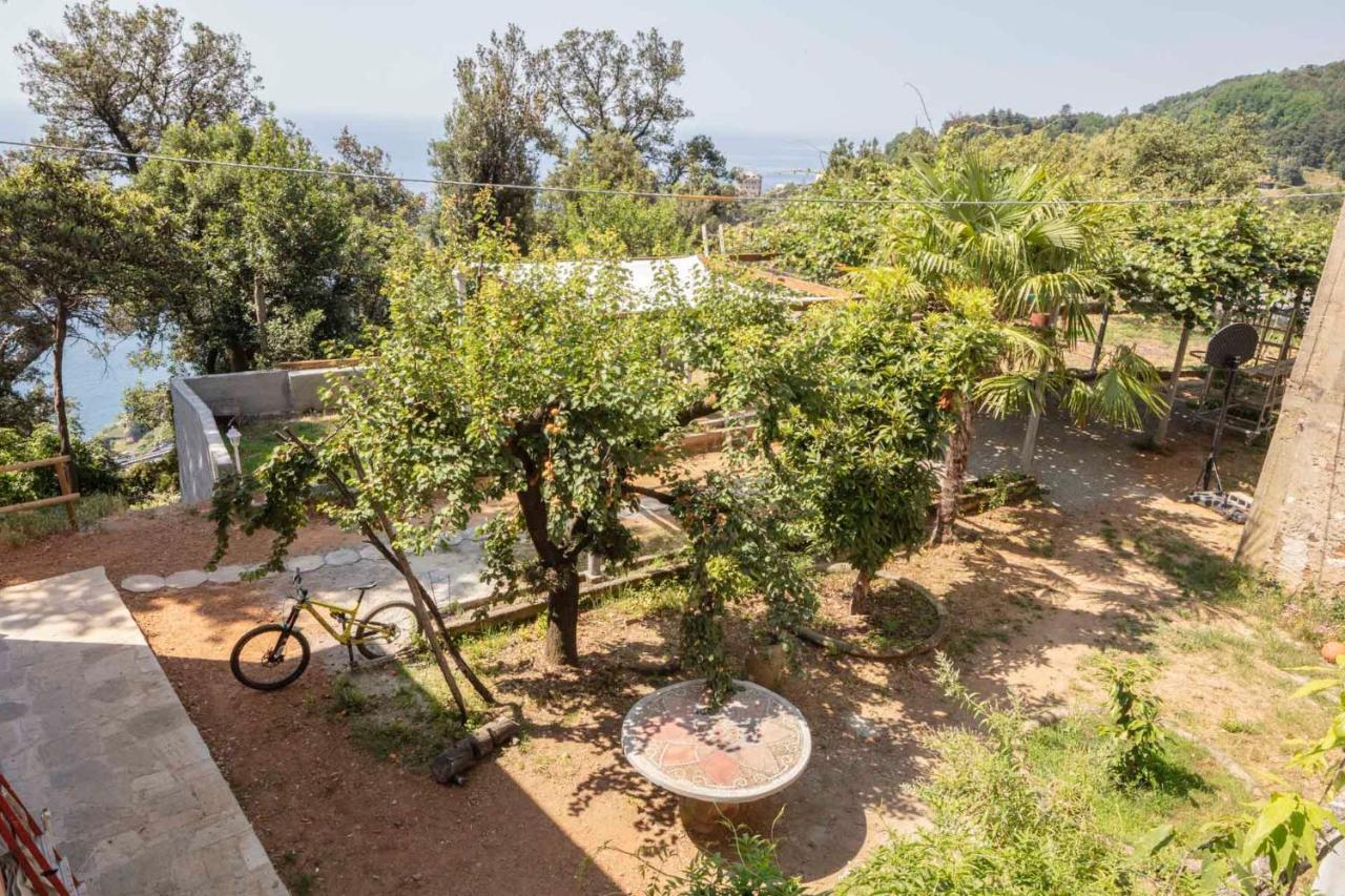 La Brigna B&B Il Bosco Sul Mare Janov Exteriér fotografie